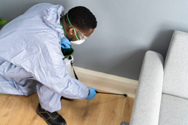 Best Residential Pest Control  in Hlside, IL